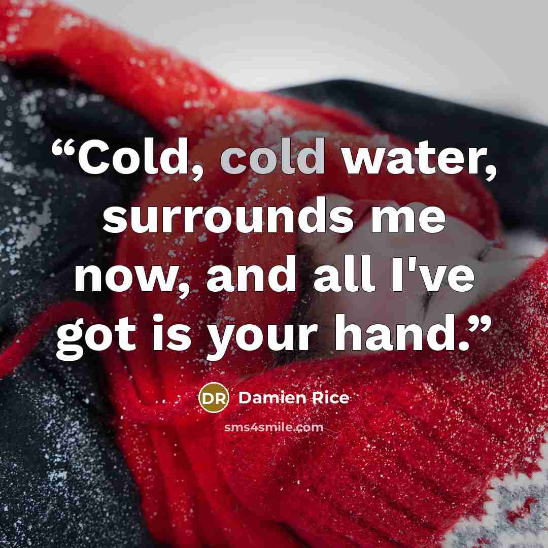 “Cold, cold water, surrounds me now, and all I've got is your hand.” quote by Damien Rice