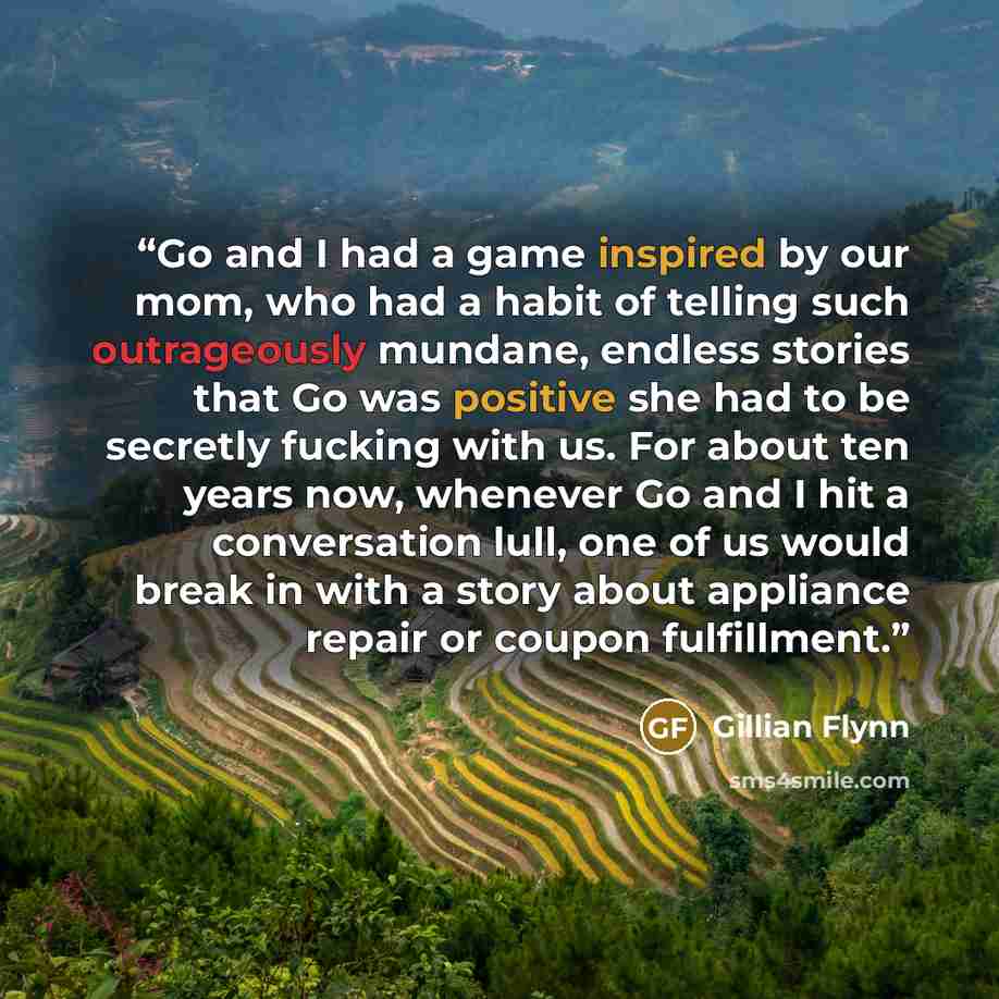 “Go and I had a game inspired by our mom, who had a habit of telling such outrageously mundane, endless stories that Go was positive she had to be secretly fucking with us. For about ten years now, whenever Go and I hit a conversation lull, one of us would break in with a story about appliance…” quote by Gillian Flynn