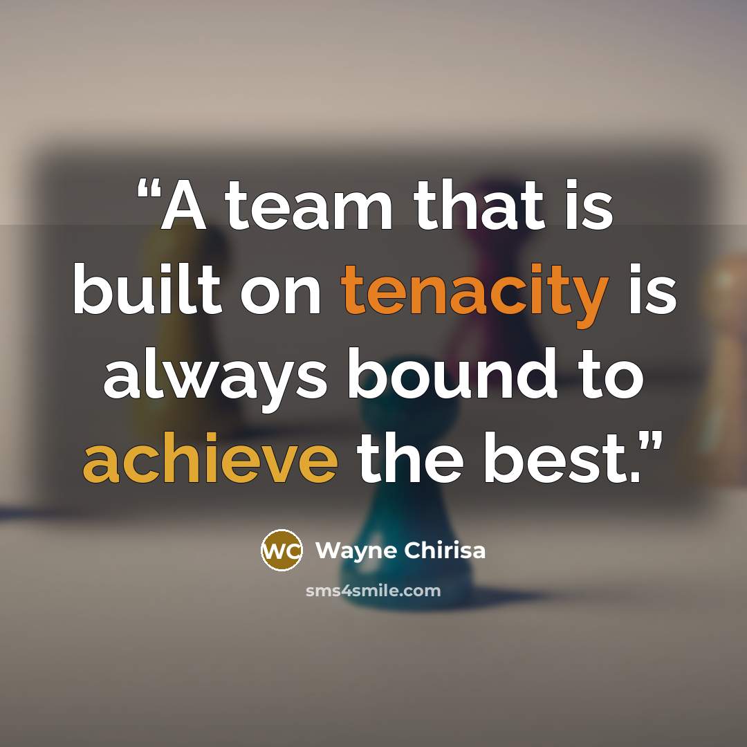“A team that is built on tenacity is always bound to achieve the best.” quote by Wayne Chirisa