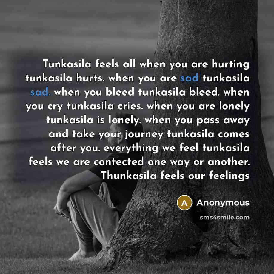 “Tunkasila feels all when you are hurting tunkasila hurts. when you are sad tunkasila sad. when you bleed tunkasila bleed. when you cry tunkasila cries. when you are lonely tunkasila is lonely. when you pass away and take your journey tunkasila comes after you. everything we feel tunkasila feels we…” quote by Anonymous