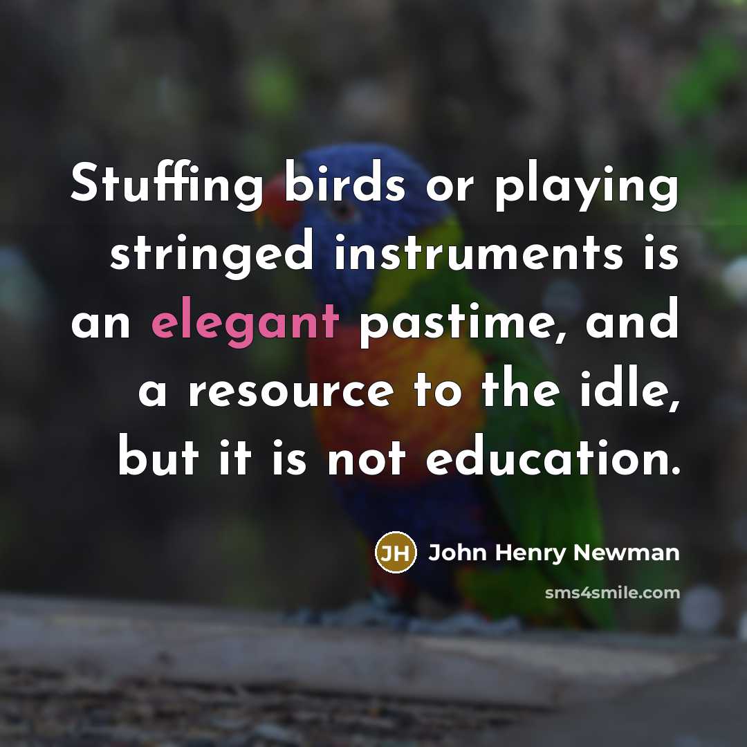 “Stuffing birds or playing stringed instruments is an elegant pastime, and a resource to the idle, but it is not education.” quote by John Henry Newman