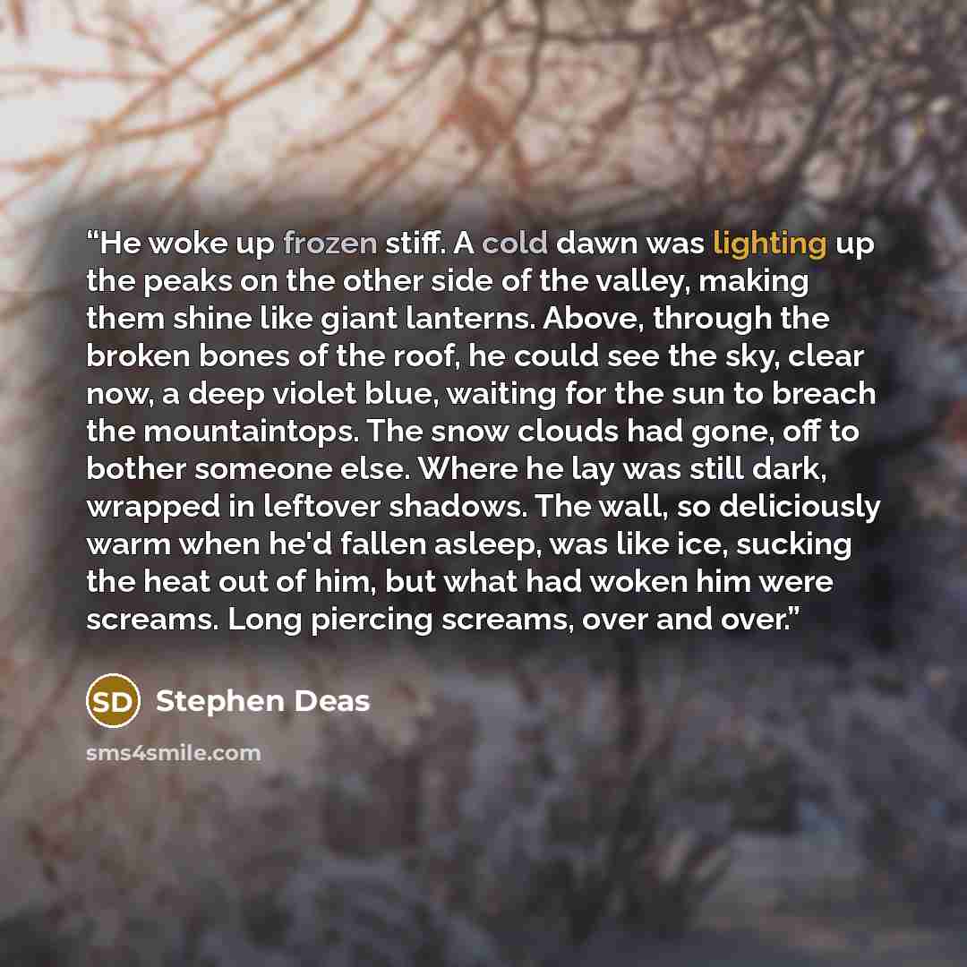 “He woke up frozen stiff. A cold dawn was lighting up the peaks on the other side of the valley, making them shine like giant lanterns. Above, through the broken bones of the roof, he could see the sky, clear now, a deep violet blue, waiting for the sun to breach the mountaintops. The snow clouds…” quote by Stephen Deas