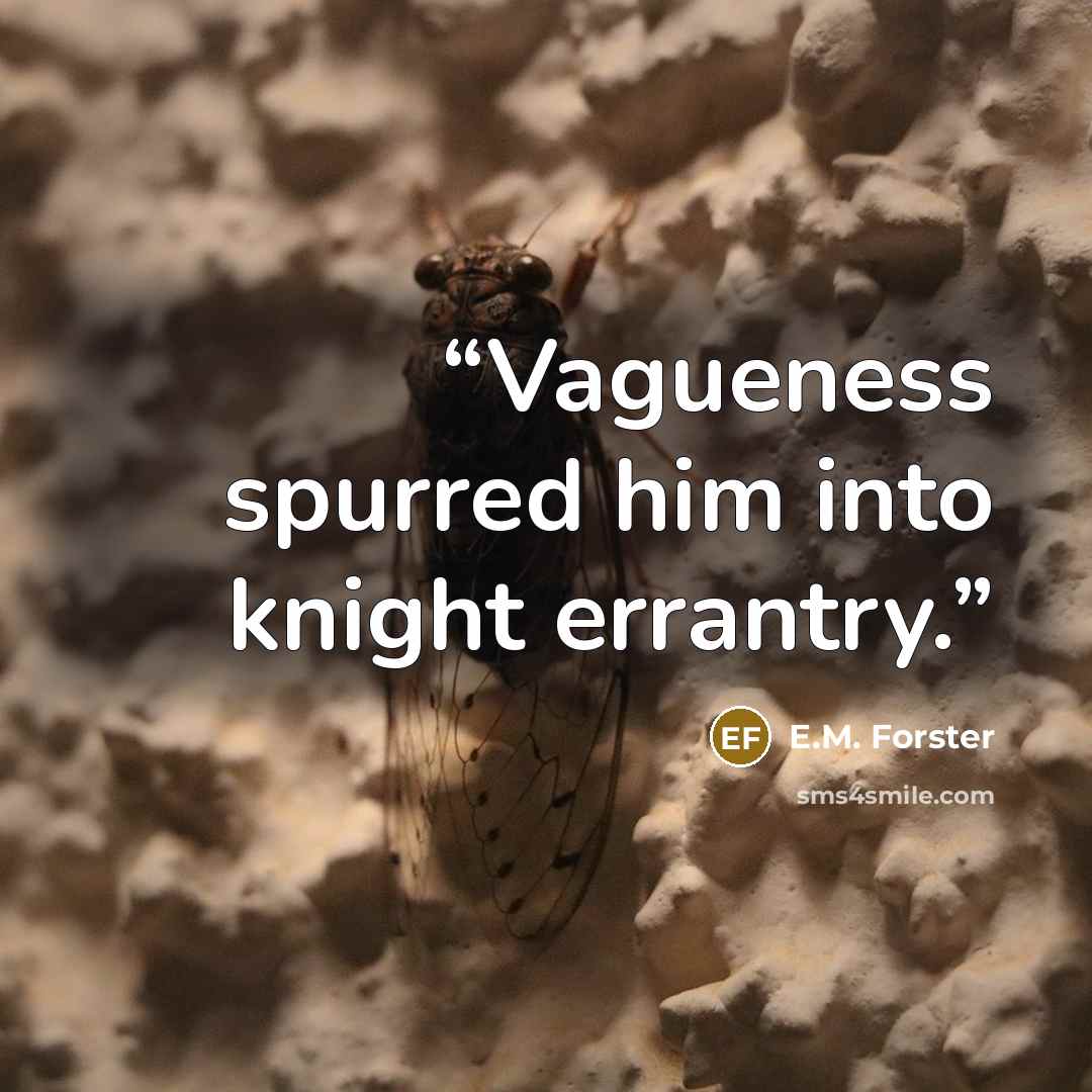 “Vagueness spurred him into knight errantry.” quote by E.M. Forster