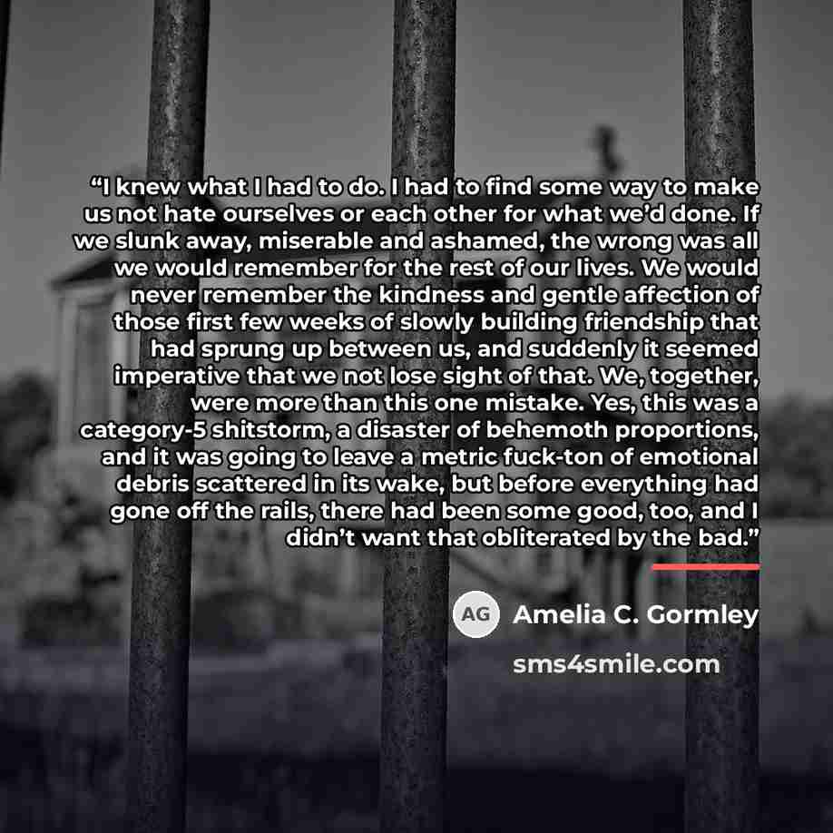 “I knew what I had to do. I had to find some way to make us not hate ourselves or each other for what we’d done. If we slunk away, miserable and ashamed, the wrong was all we would remember for the rest of our lives. We would never remember the kindness and gentle affection of those first few weeks…” quote by Amelia C. Gormley