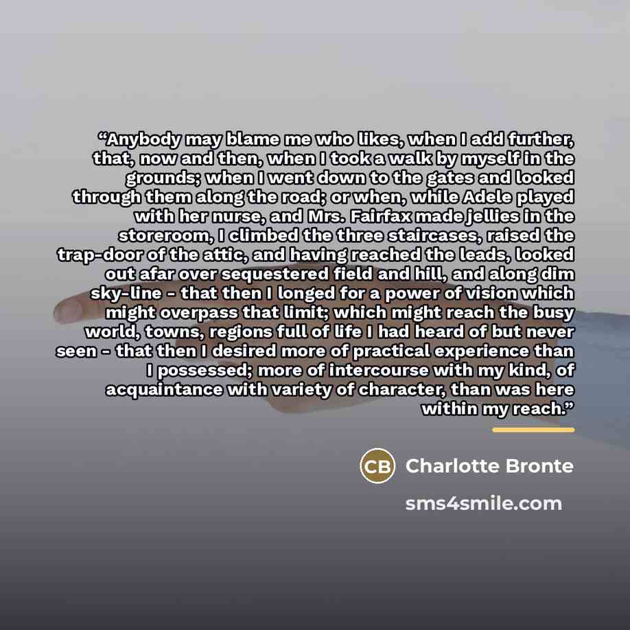 “Anybody may blame me who likes, when I add further, that, now and then, when I took a walk by myself in the grounds; when I went down to the gates and looked through them along the road; or when, while Adele played with her nurse, and Mrs. Fairfax made jellies in the storeroom, I climbed the three…” quote by Charlotte Bronte
