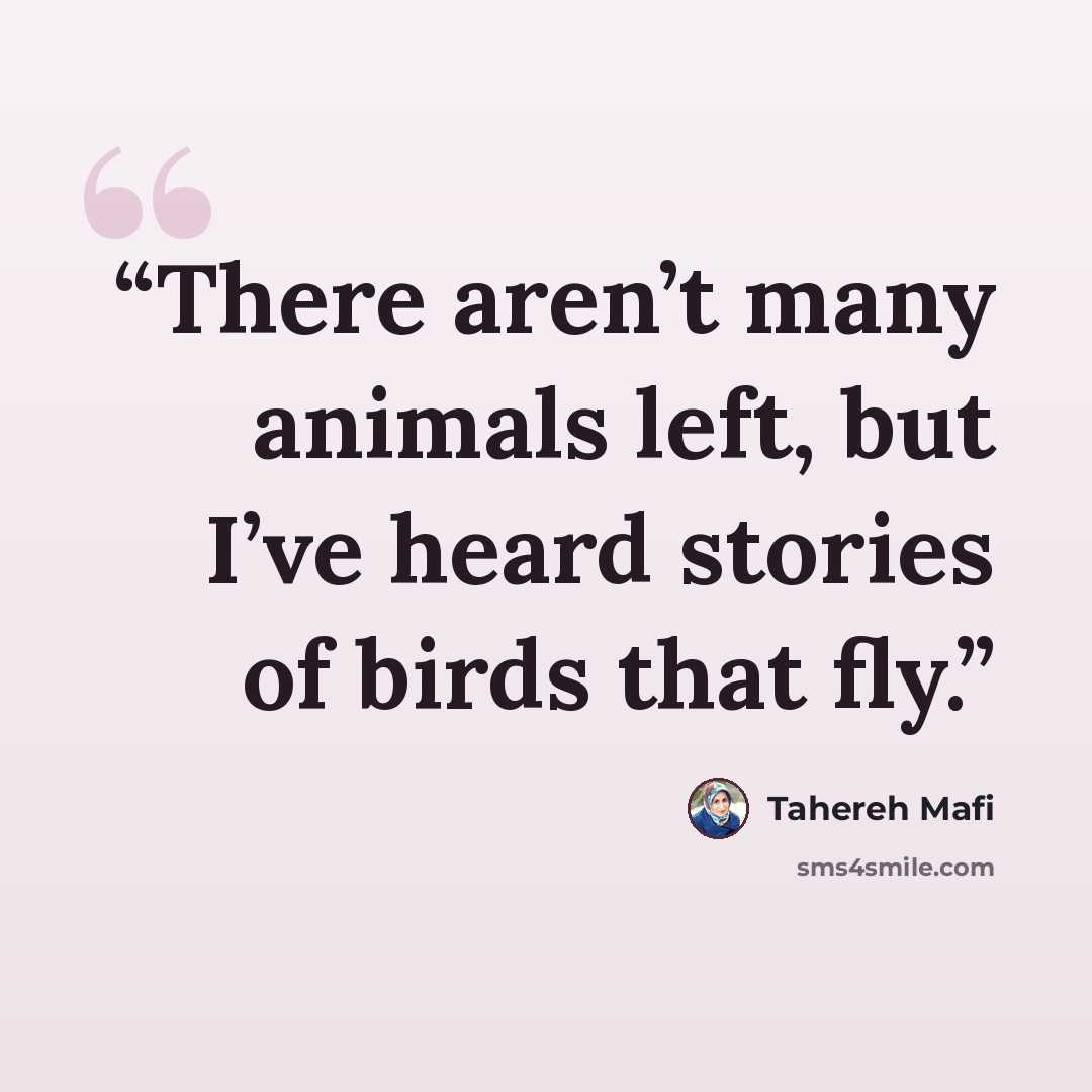 “There aren’t many animals left, but I’ve heard stories of birds that fly.” quote by Tahereh Mafi