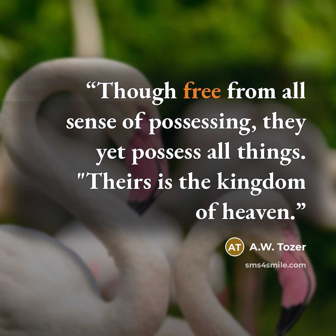 “Though free from all sense of possessing, they yet possess all things. "Theirs is the kingdom of heaven.” quote by A.W. Tozer