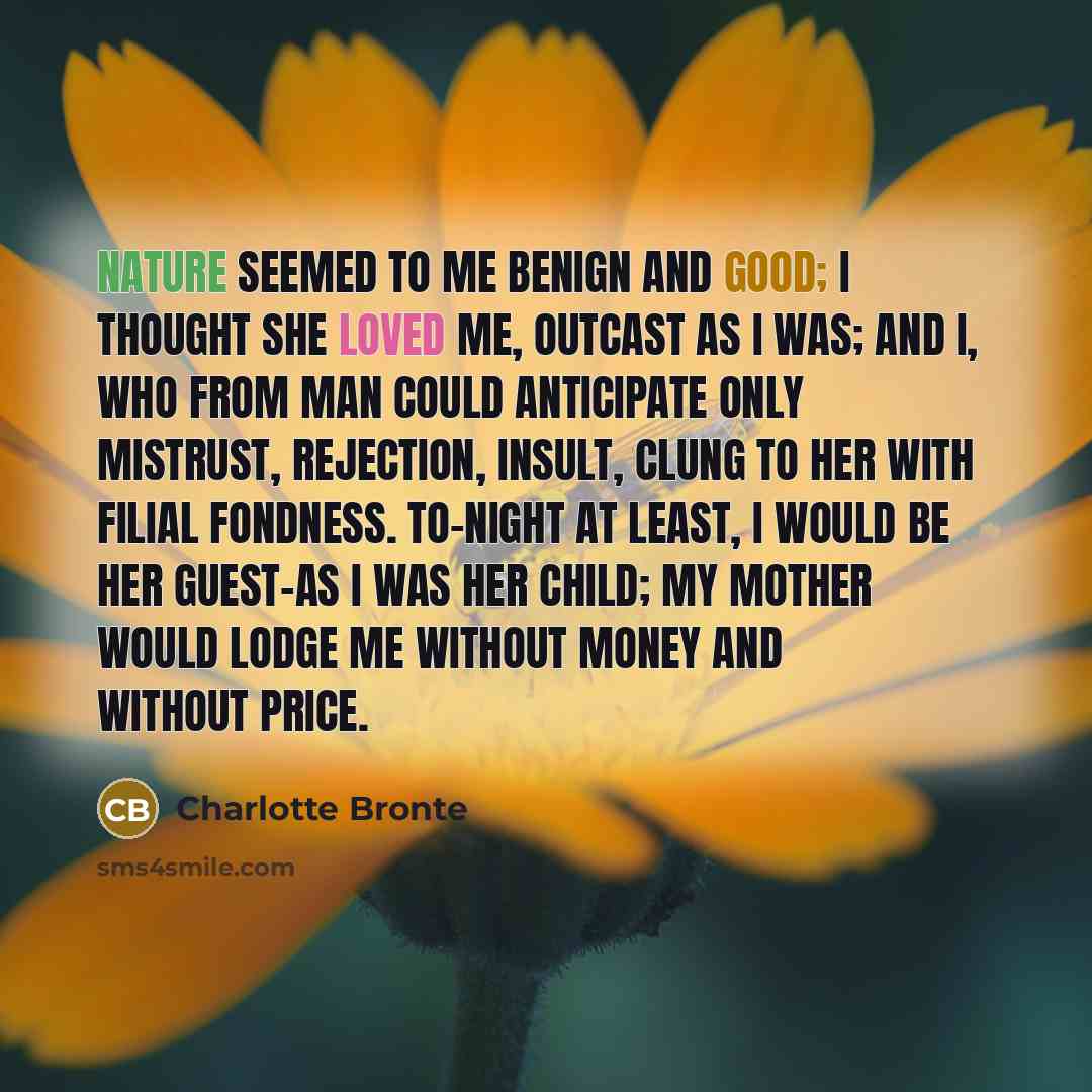 “Nature seemed to me benign and good; I thought she loved me, outcast as I was; and I, who from man could anticipate only mistrust, rejection, insult, clung to her with filial fondness. To-night at least, I would be her guest-as I was her child; my mother would lodge me without money and without…” quote by Charlotte Bronte