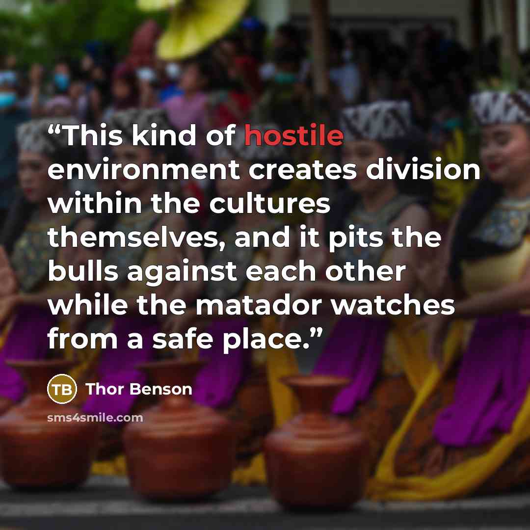 “This kind of hostile environment creates division within the cultures themselves, and it pits the bulls against each other while the matador watches from a safe place.” quote by Thor Benson