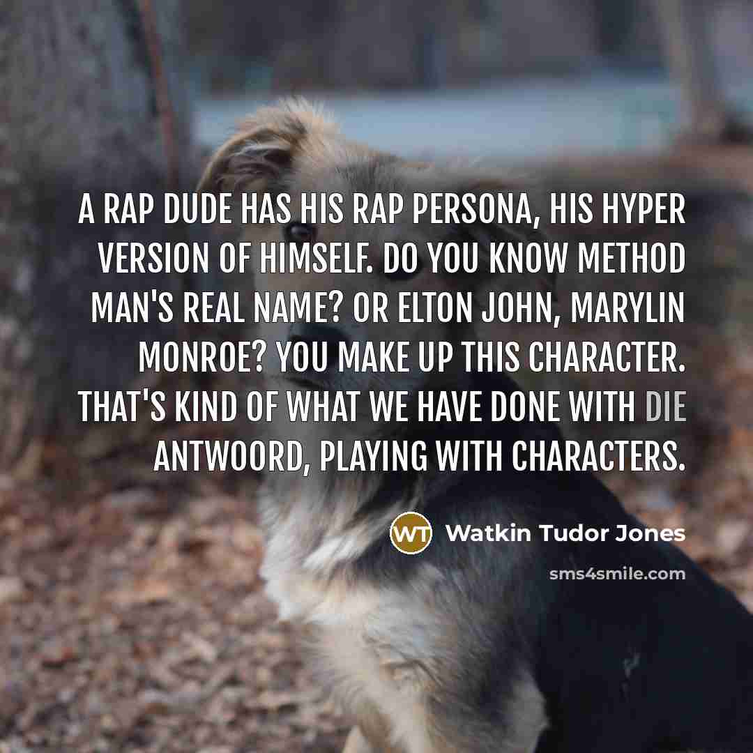“A rap dude has his rap persona, his hyper version of himself. Do you know Method Man's real name? Or Elton John, Marylin Monroe? You make up this character. That's kind of what we have done with Die Antwoord, playing with characters.” quote by Watkin Tudor Jones