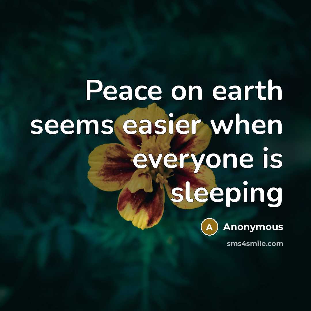 “Peace on earth seems easier when everyone is sleeping” quote by Anonymous