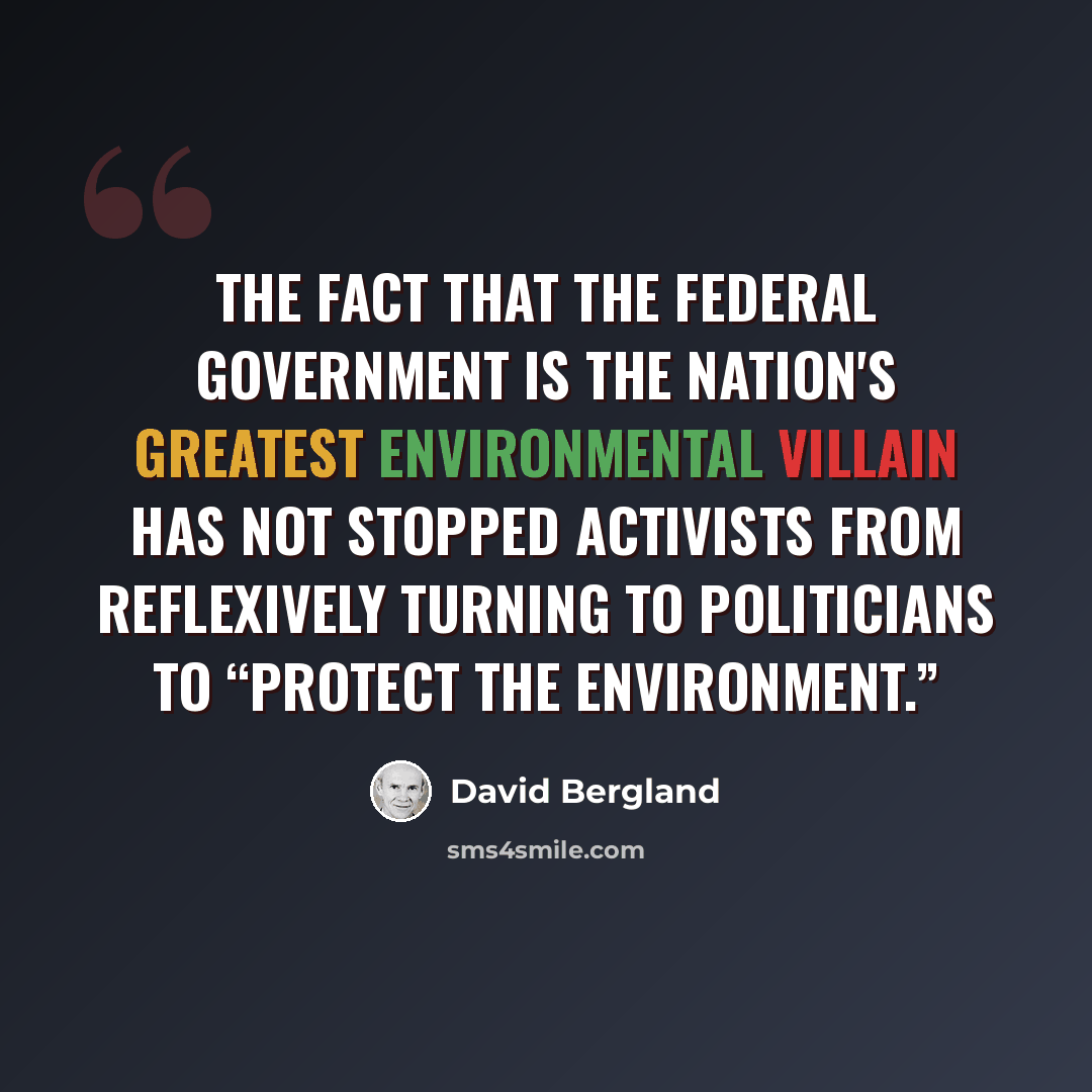 “The fact that the federal government is the nation's greatest environmental villain has not stopped activists from reflexively turning to politicians to “protect the environment.”” quote by David Bergland