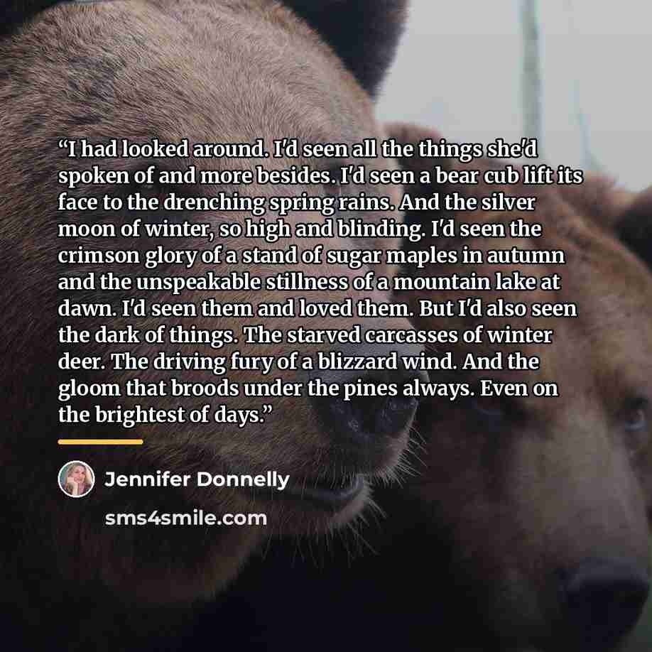 “I had looked around. I'd seen all the things she'd spoken of and more besides. I'd seen a bear cub lift its face to the drenching spring rains. And the silver moon of winter, so high and blinding. I'd seen the crimson glory of a stand of sugar maples in autumn and the unspeakable stillness of a…” quote by Jennifer Donnelly