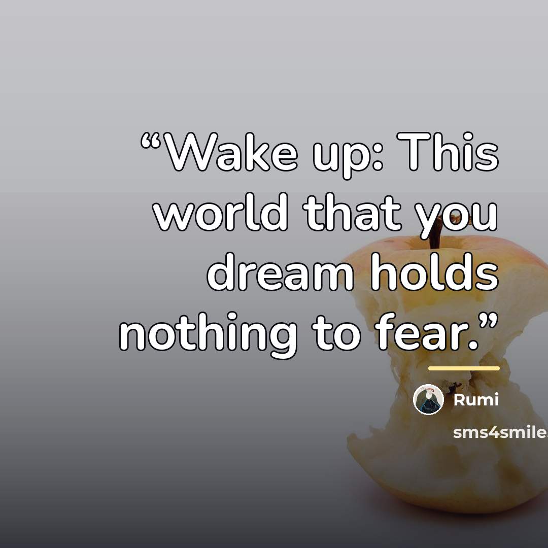 “Wake up: This world that you dream holds nothing to fear.” quote by Rumi