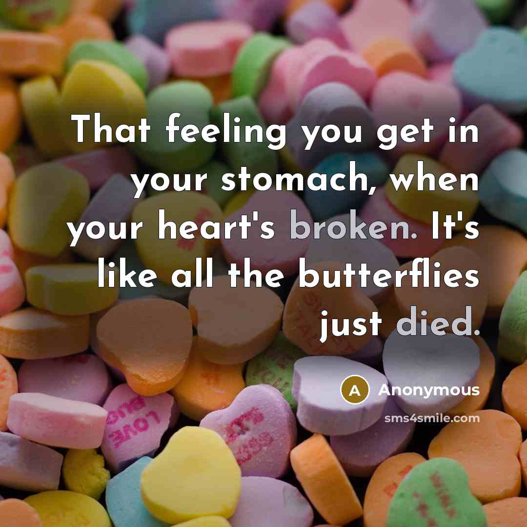 “That feeling you get in your stomach, when your heart's broken. It's like all the butterflies just died.” quote by Anonymous