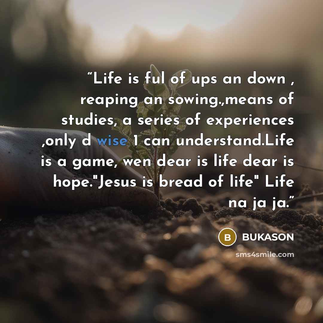 “Life is ful of ups an down , reaping an sowing.,means of studies, a series of experiences ,only d wise 1 can understand.Life is a game, wen dear is life dear is hope."Jesus is bread of life" Life na ja ja.” quote by BUKASON