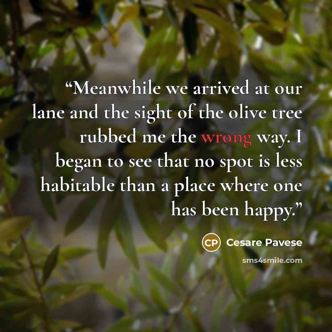 “Meanwhile we arrived at our lane and the sight of the olive tree rubbed me the wrong way. I began to see that no spot is less habitable than a place where one has been happy.” quote by Cesare Pavese