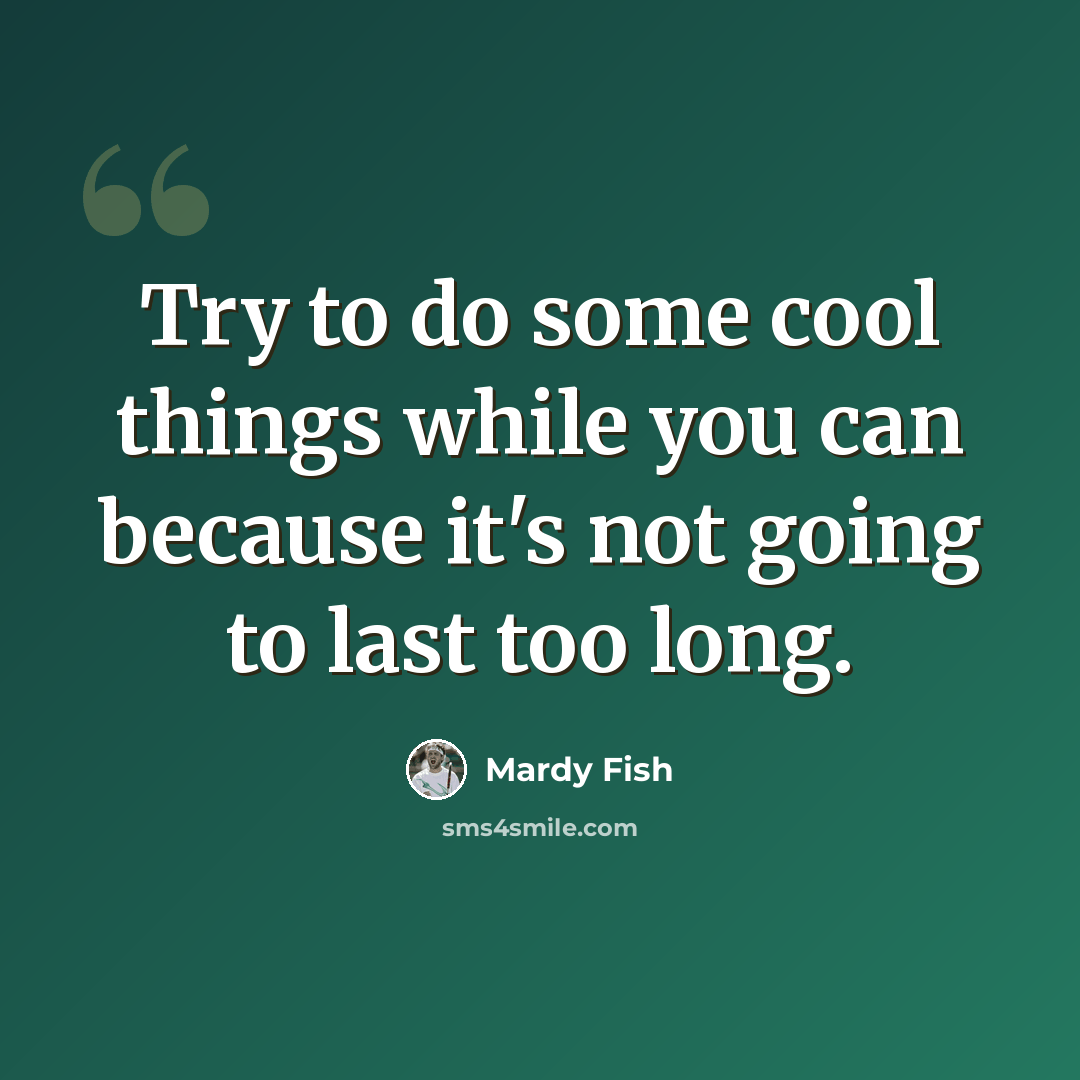 “Try to do some cool things while you can because it's not going to last too long.” quote by Mardy Fish