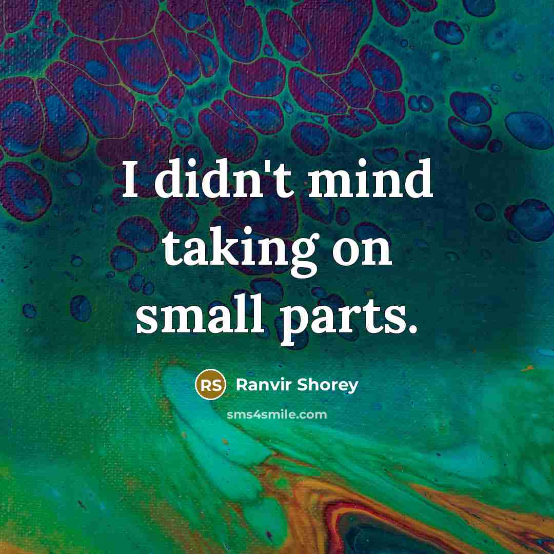 “I didn't mind taking on small parts.” quote by Ranvir Shorey