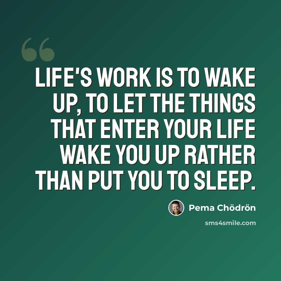 “Life's work is to wake up, to let the things that enter your life wake you up rather than put you to sleep.” quote by Pema Chodron
