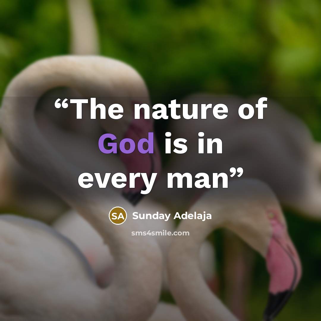 “The nature of God is in every man” quote by Sunday Adelaja