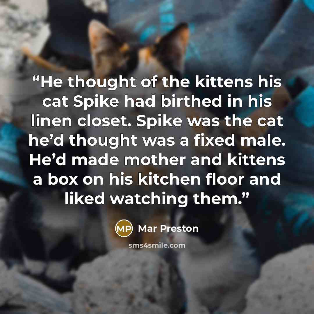 “He thought of the kittens his cat Spike had birthed in his linen closet. Spike was the cat he’d thought was a fixed male. He’d made mother and kittens a box on his kitchen floor and liked watching them.” quote by Mar Preston