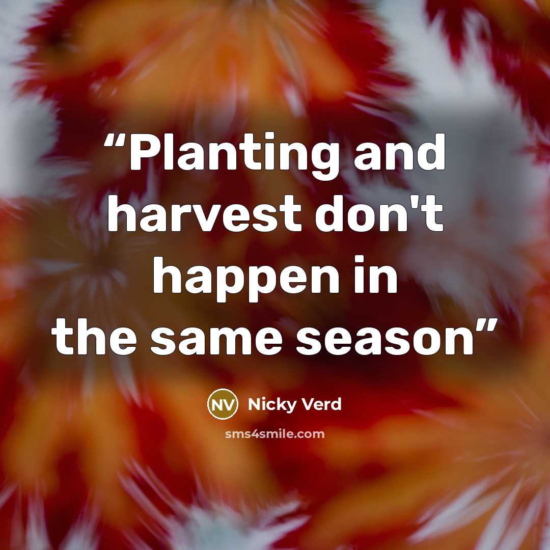 “Planting and harvest don't happen in the same season” quote by Nicky Verd