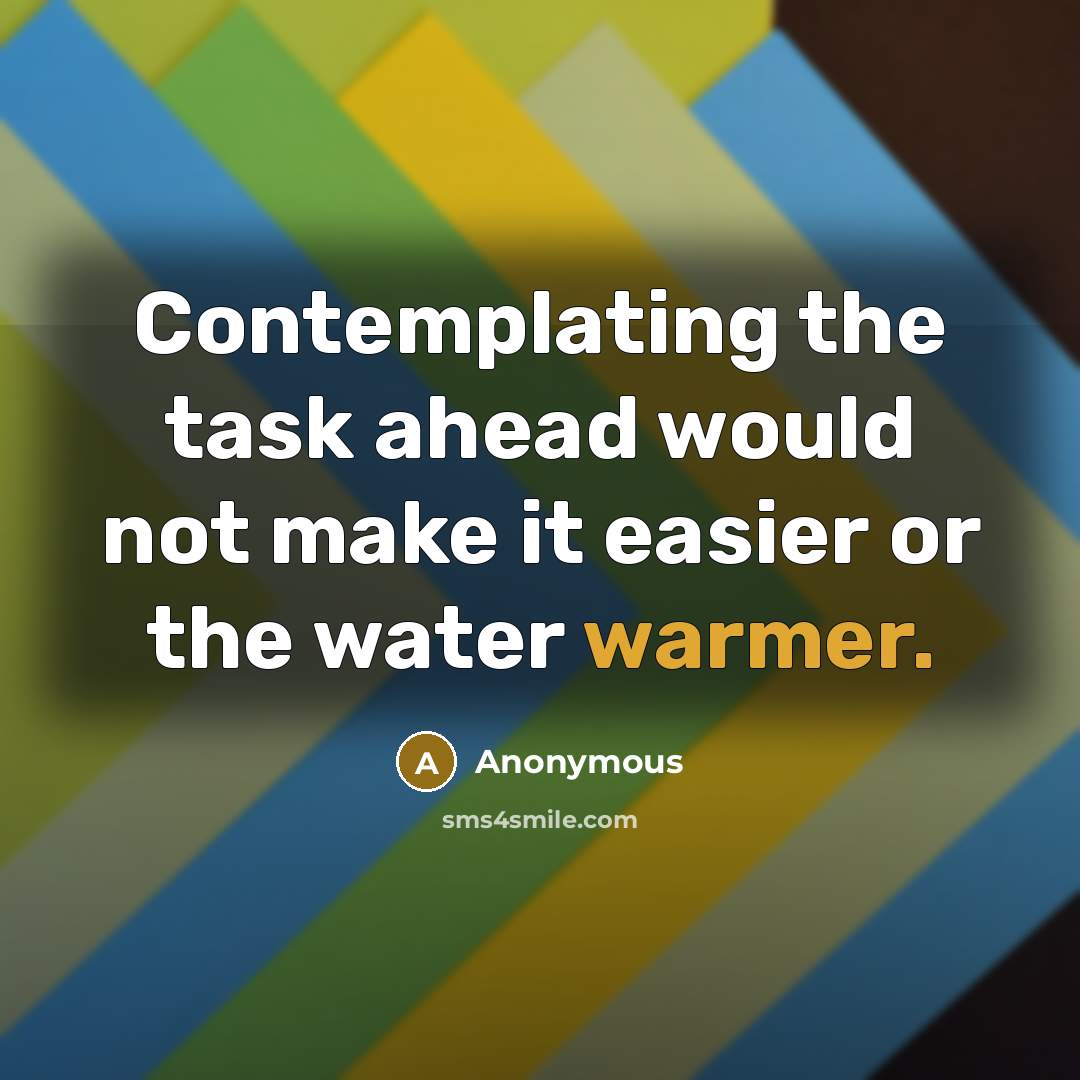 “Contemplating the task ahead would not make it easier or the water warmer.” quote by Anonymous