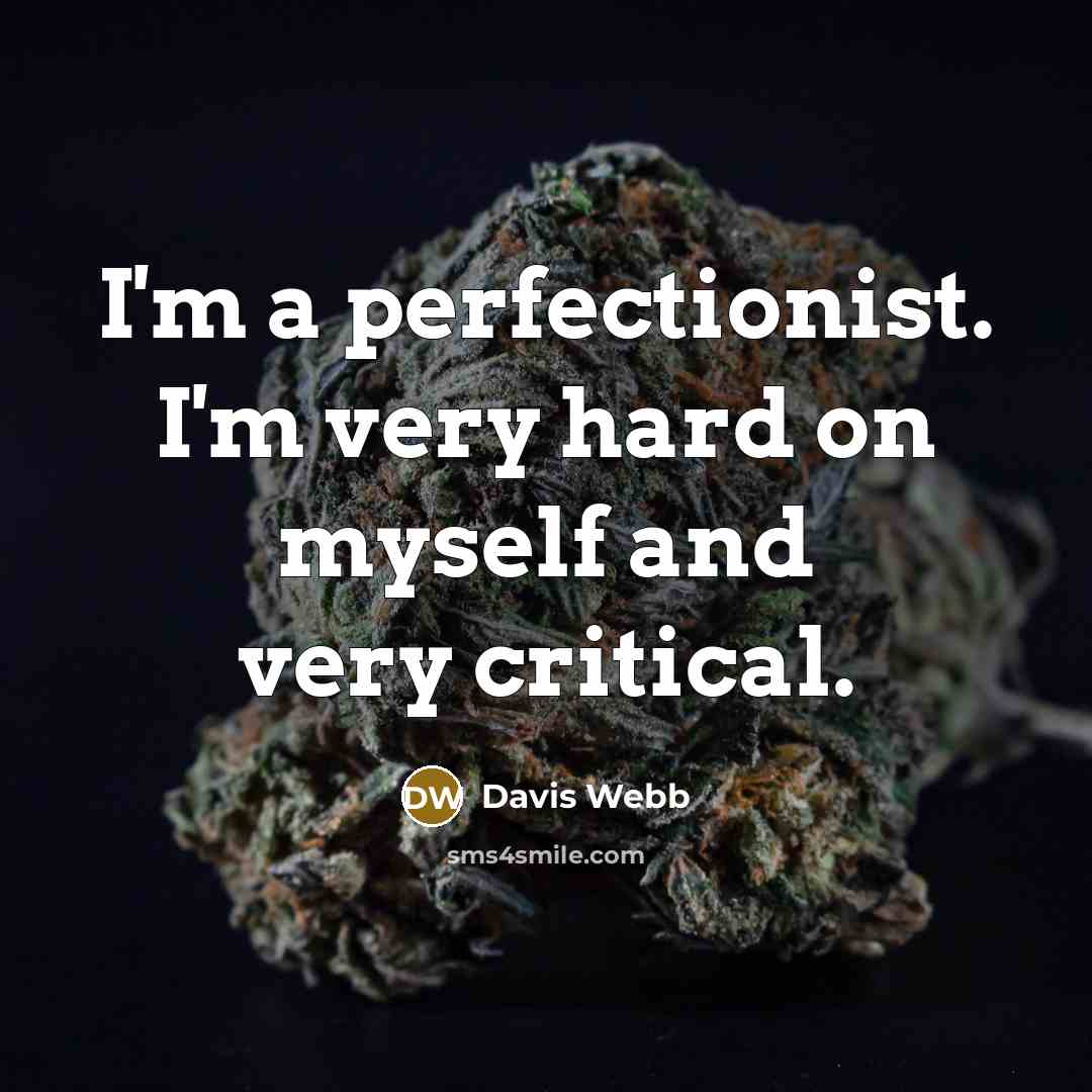 “I'm a perfectionist. I'm very hard on myself and very critical.” quote by Davis Webb