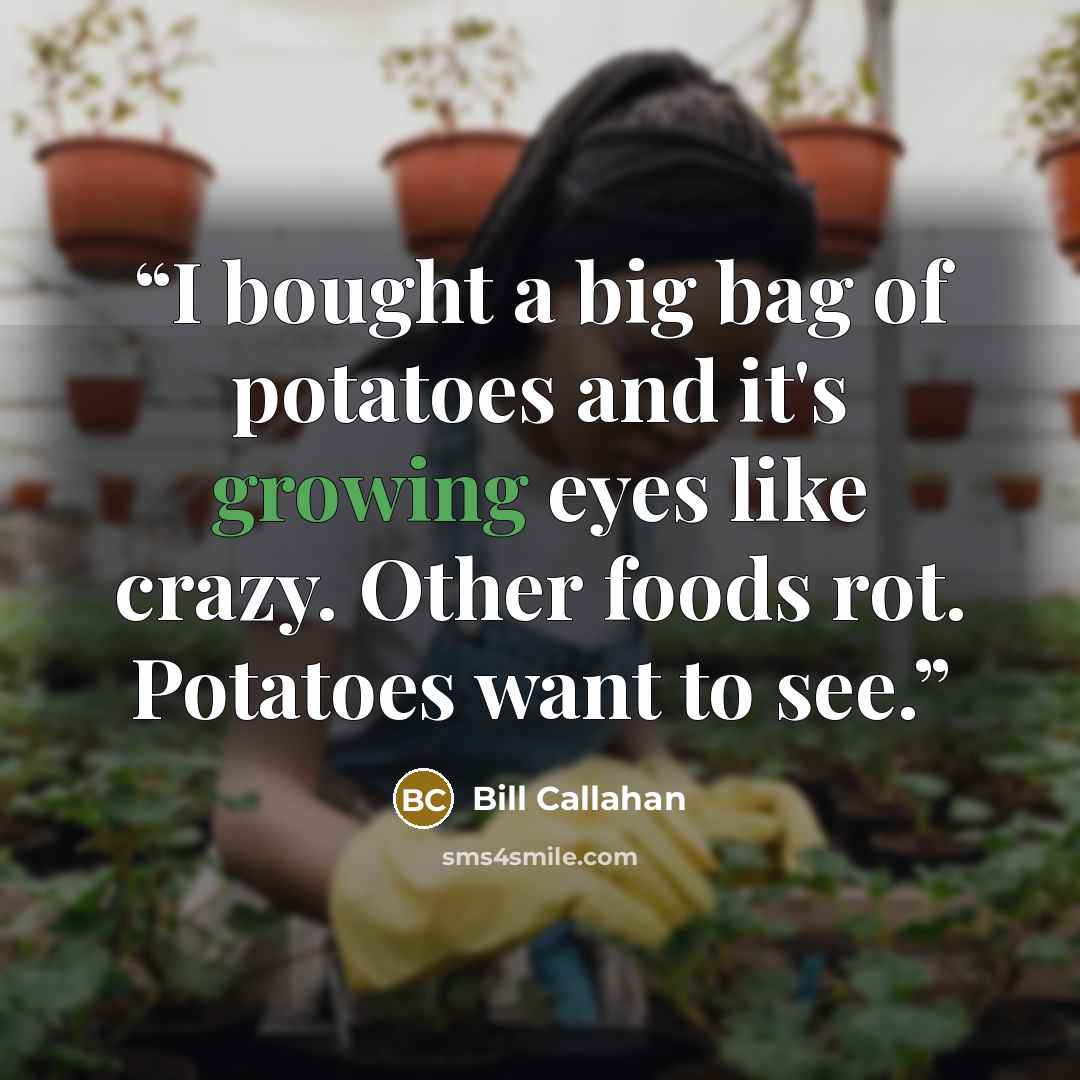 “I bought a big bag of potatoes and it's growing eyes like crazy. Other foods rot. Potatoes want to see.” quote by Bill Callahan