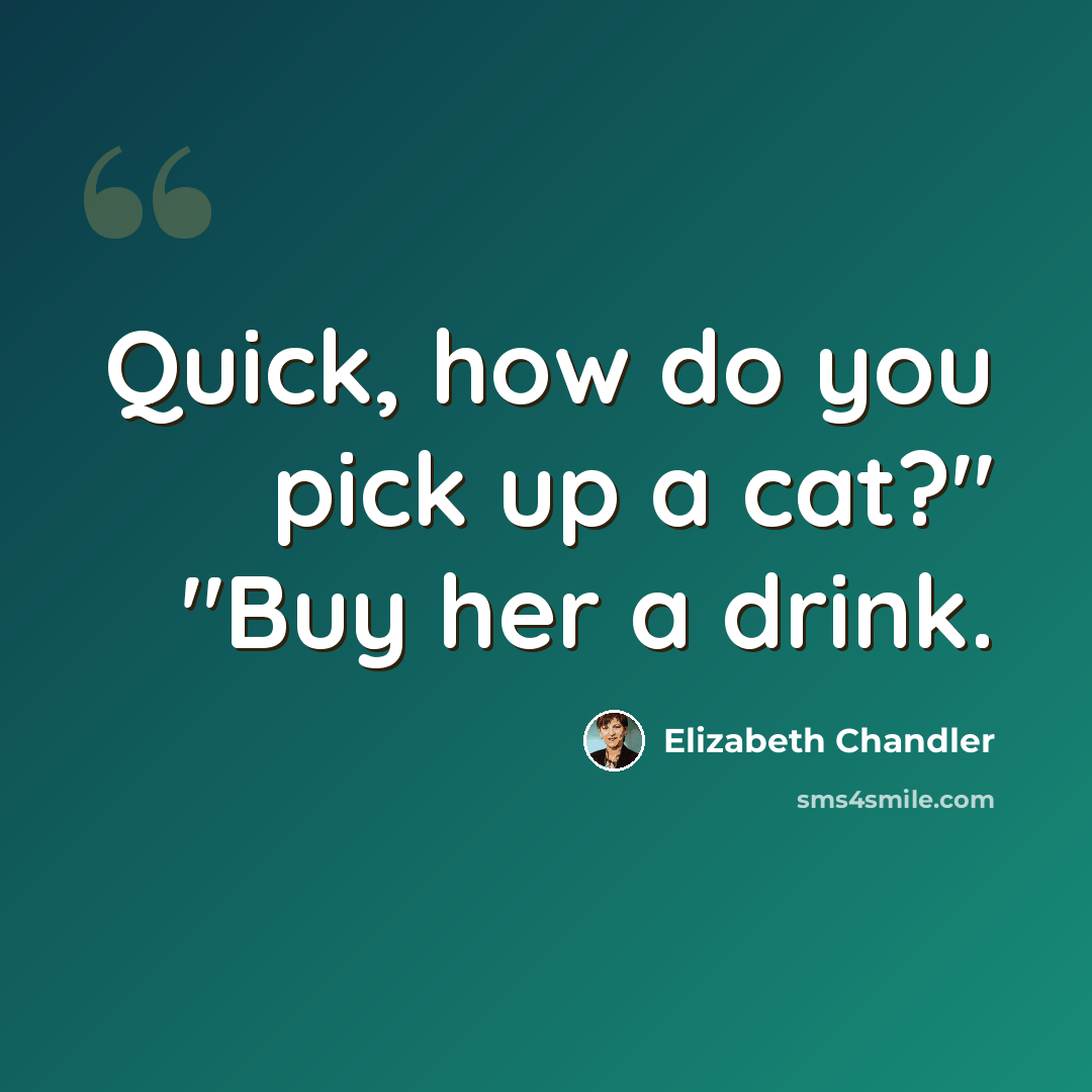 “Quick, how do you pick up a cat?" "Buy her a drink.” quote by Elizabeth Chandler