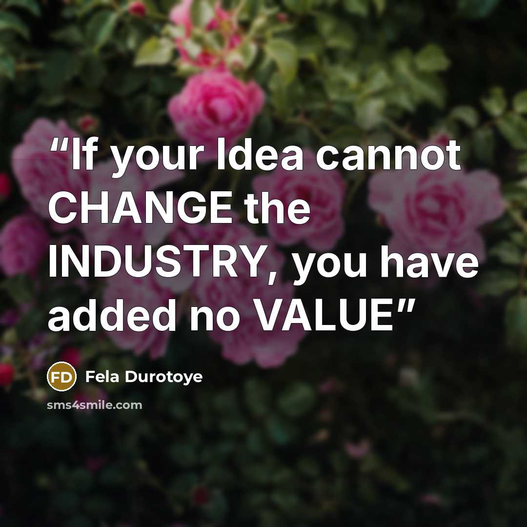 “If your Idea cannot CHANGE the INDUSTRY, you have added no VALUE” quote by Fela Durotoye