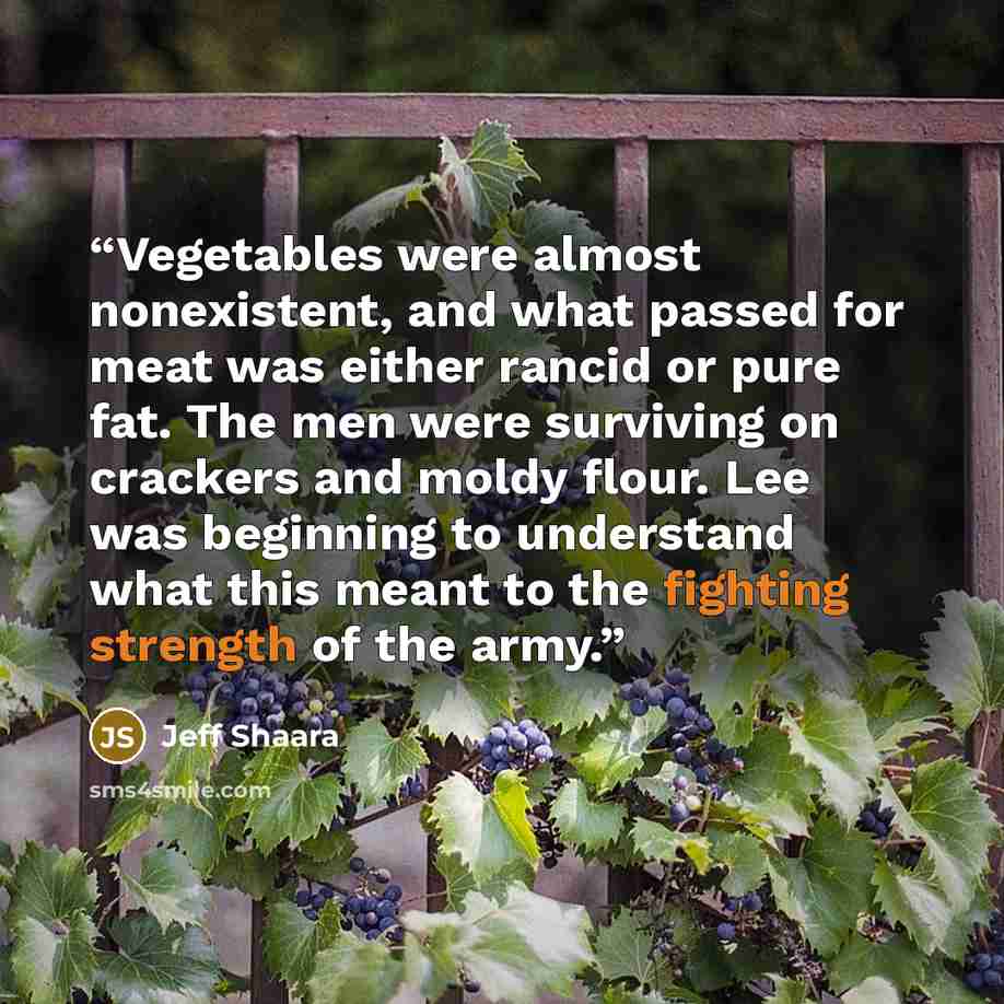 “Vegetables were almost nonexistent, and what passed for meat was either rancid or pure fat. The men were surviving on crackers and moldy flour. Lee was beginning to understand what this meant to the fighting strength of the army.” quote by Jeff Shaara