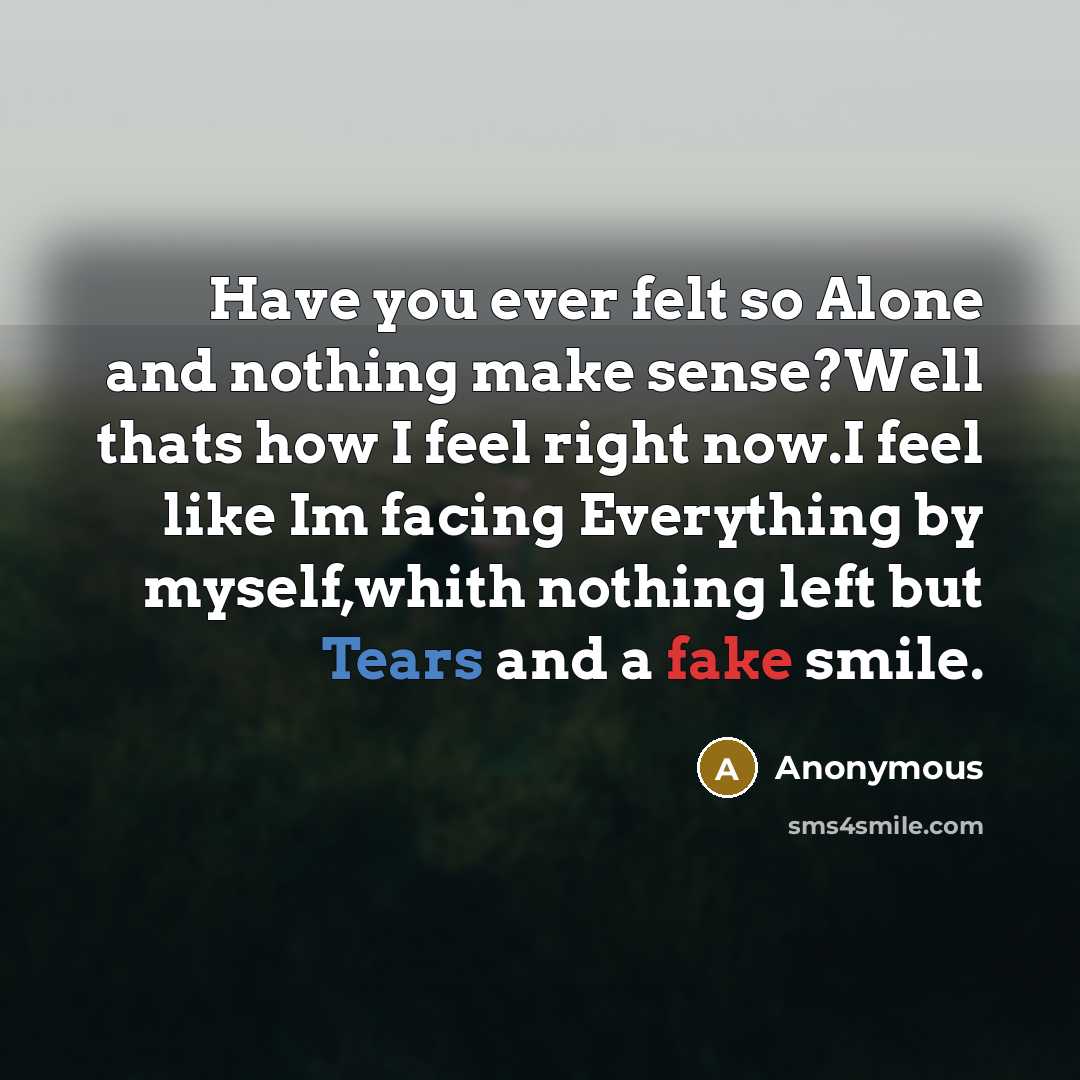 “Have you ever felt so Alone and nothing make sense?Well thats how I feel right now.I feel like Im facing Everything by myself,whith nothing left but Tears and a fake smile.” quote by Anonymous