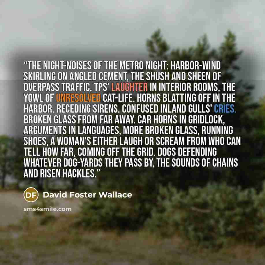 “The night-noises of the metro night: harbor-wind skirling on angled cement, the shush and sheen of overpass traffic, TPs' laughter in interior rooms, the yowl of unresolved cat-life. Horns blatting off in the harbor. Receding sirens. Confused inland gulls' cries. Broken glass from far away. Car…” quote by David Foster Wallace