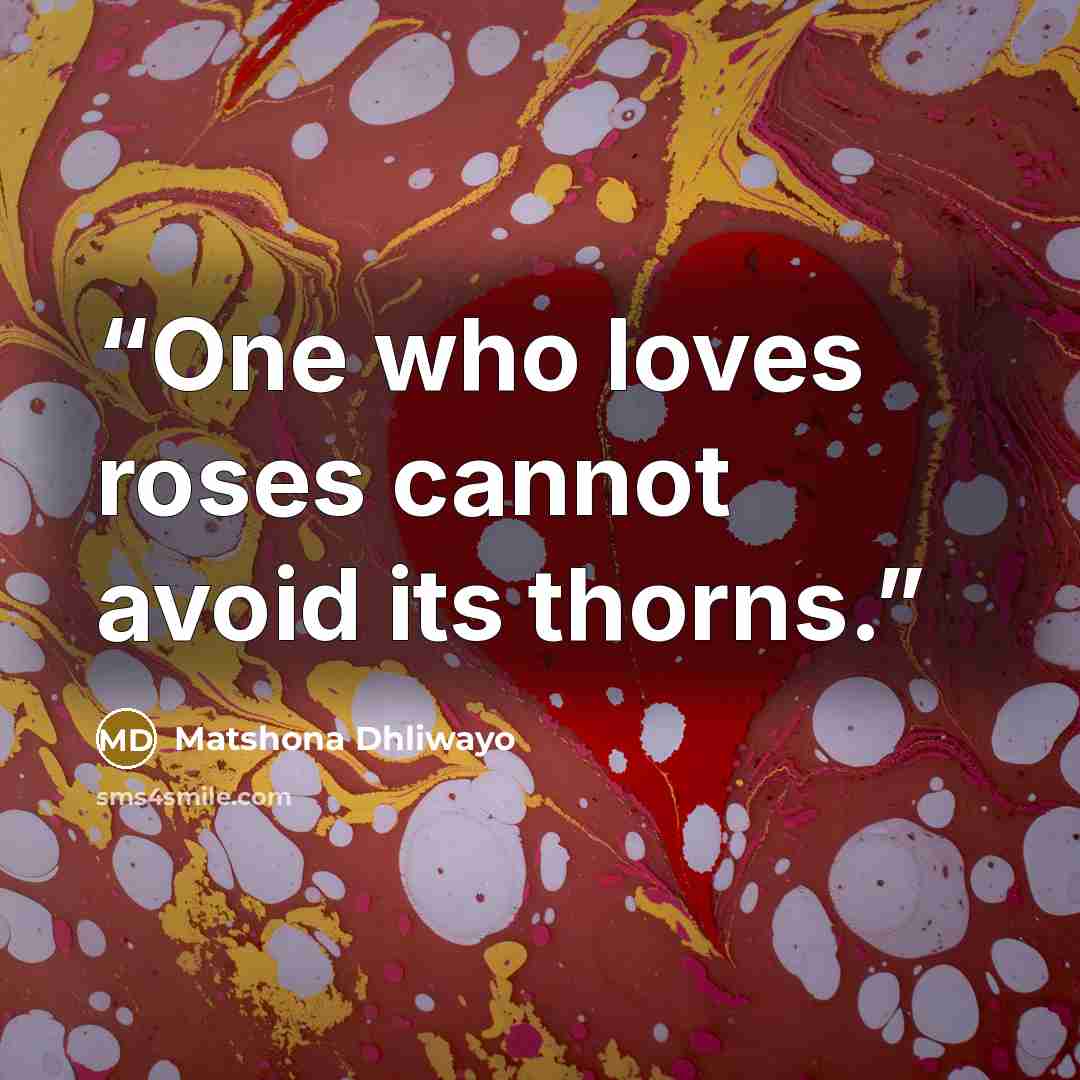 “One who loves roses cannot avoid its thorns.” quote by Matshona Dhliwayo