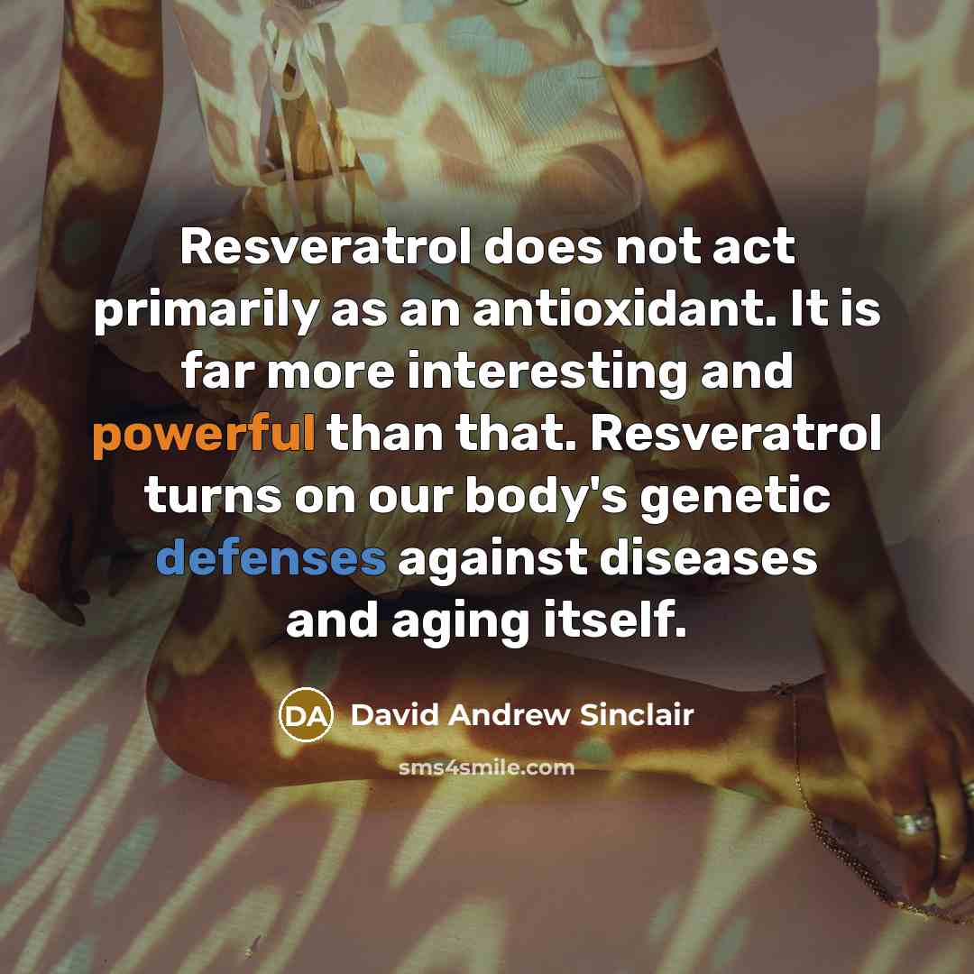 “Resveratrol does not act primarily as an antioxidant. It is far more interesting and powerful than that. Resveratrol turns on our body's genetic defenses against diseases and aging itself.” quote by David Andrew Sinclair