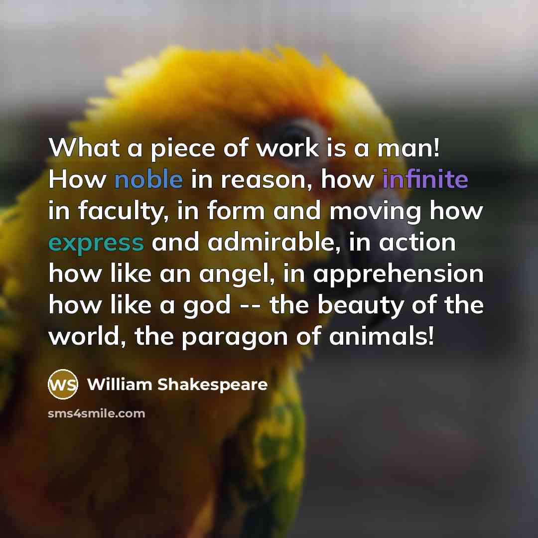 “What a piece of work is a man! How noble in reason, how infinite in faculty, in form and moving how express and admirable, in action how like an angel, in apprehension how like a god -- the beauty of the world, the paragon of animals!” quote by William Shakespeare