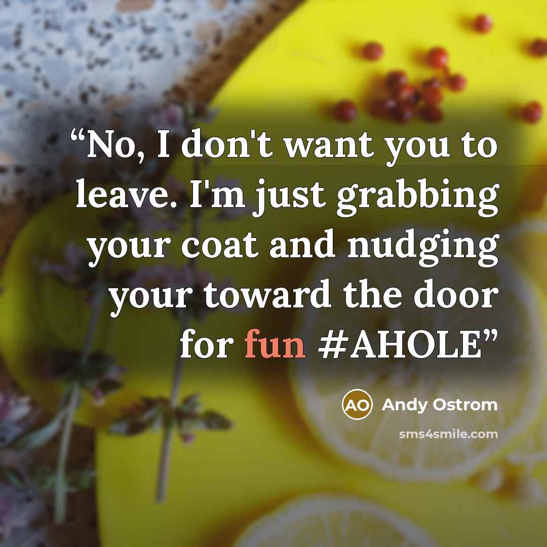 “No, I don't want you to leave. I'm just grabbing your coat and nudging your toward the door for fun #AHOLE” quote by Andy Ostrom