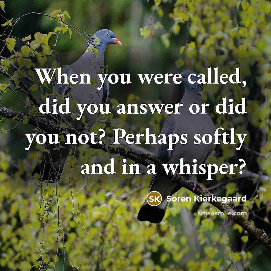 “When you were called, did you answer or did you not? Perhaps softly and in a whisper?” quote by Soren Kierkegaard
