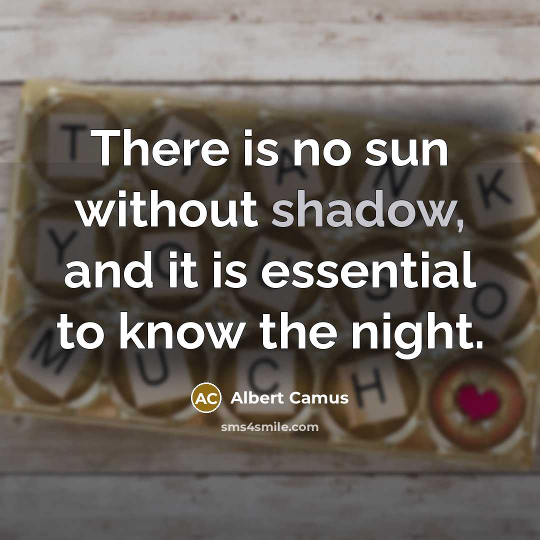 “There is no sun without shadow, and it is essential to know the night.” quote by Albert Camus