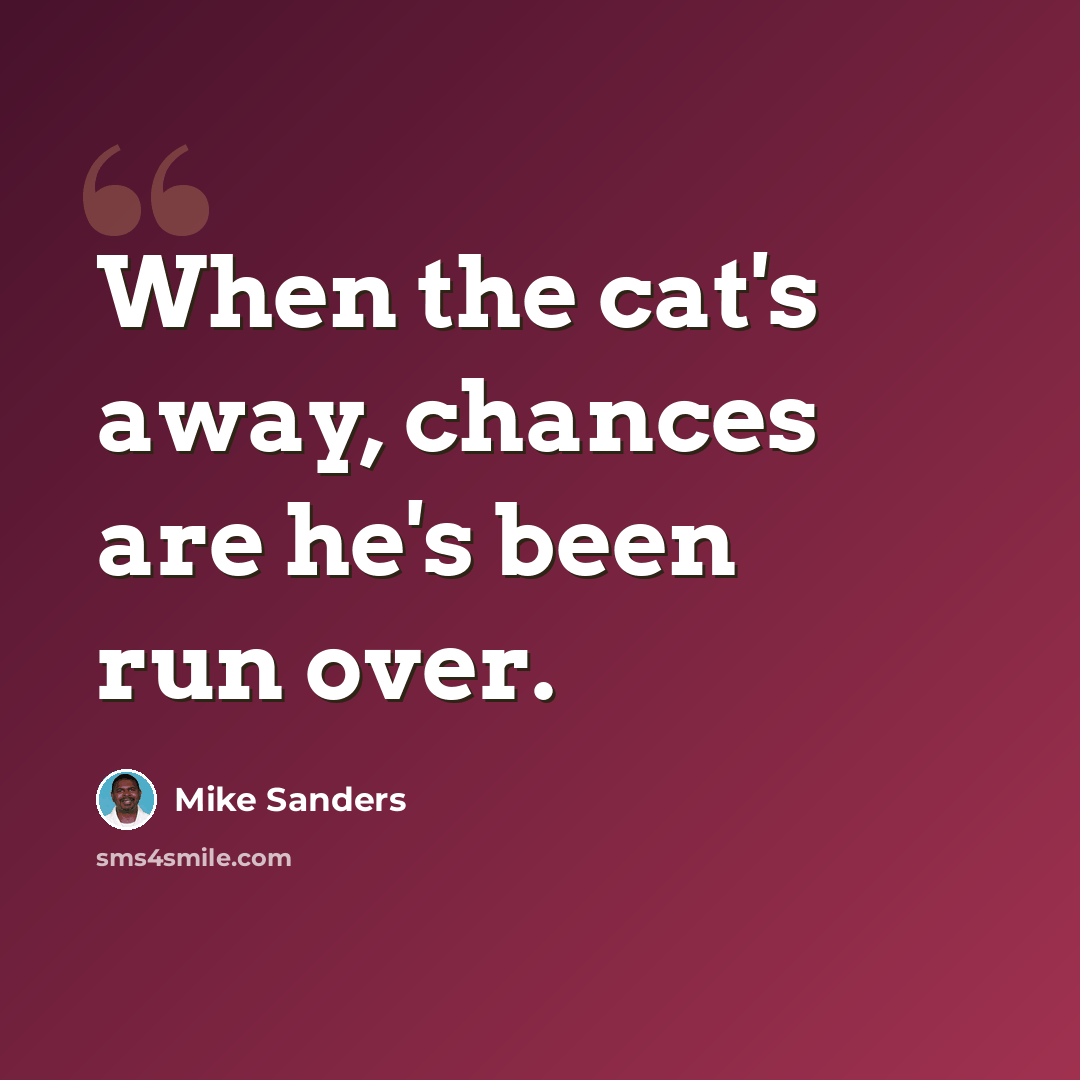 “When the cat's away, chances are he's been run over.” quote by Mike Sanders