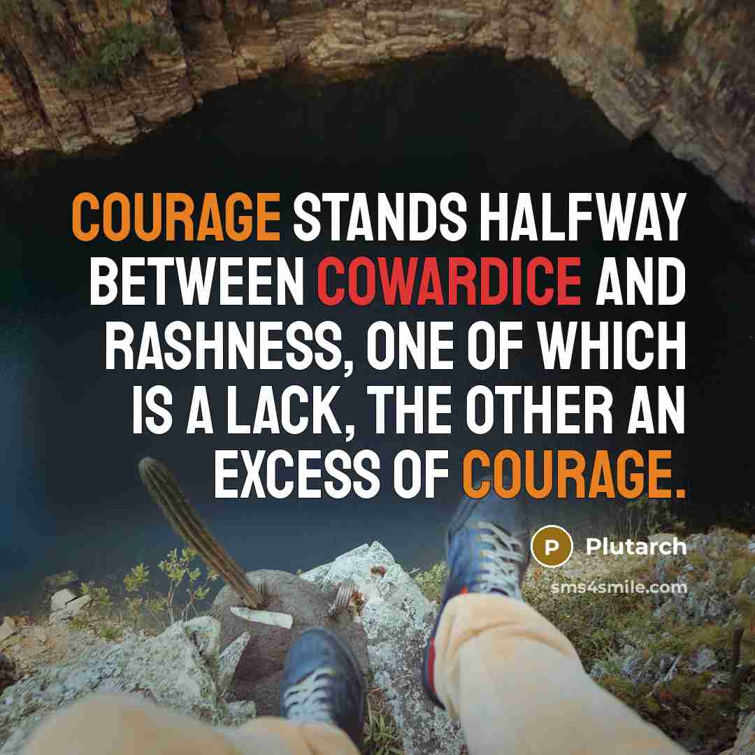 “Courage stands halfway between cowardice and rashness, one of which is a lack, the other an excess of courage.” quote by Plutarch