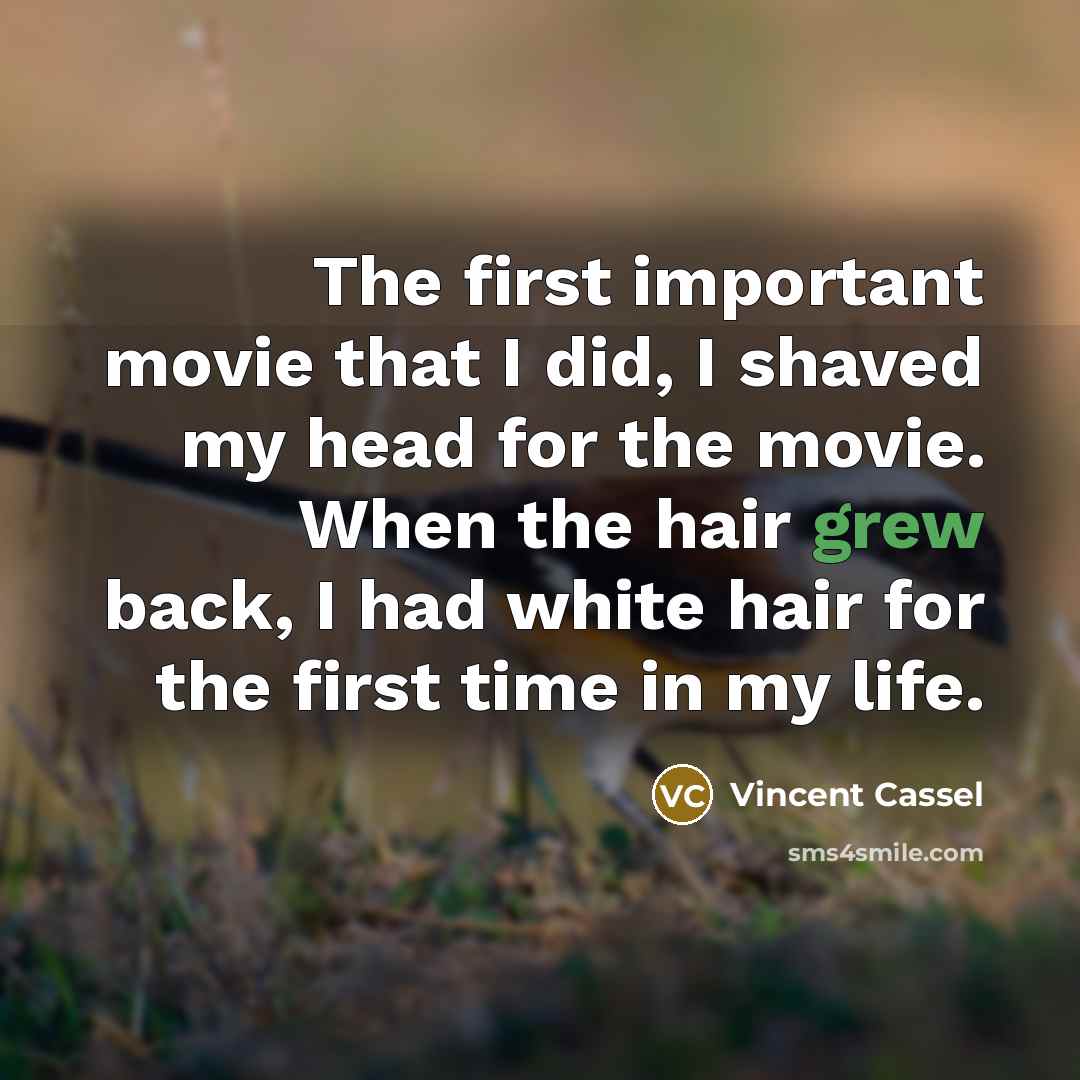 “The first important movie that I did, I shaved my head for the movie. When the hair grew back, I had white hair for the first time in my life.” quote by Vincent Cassel