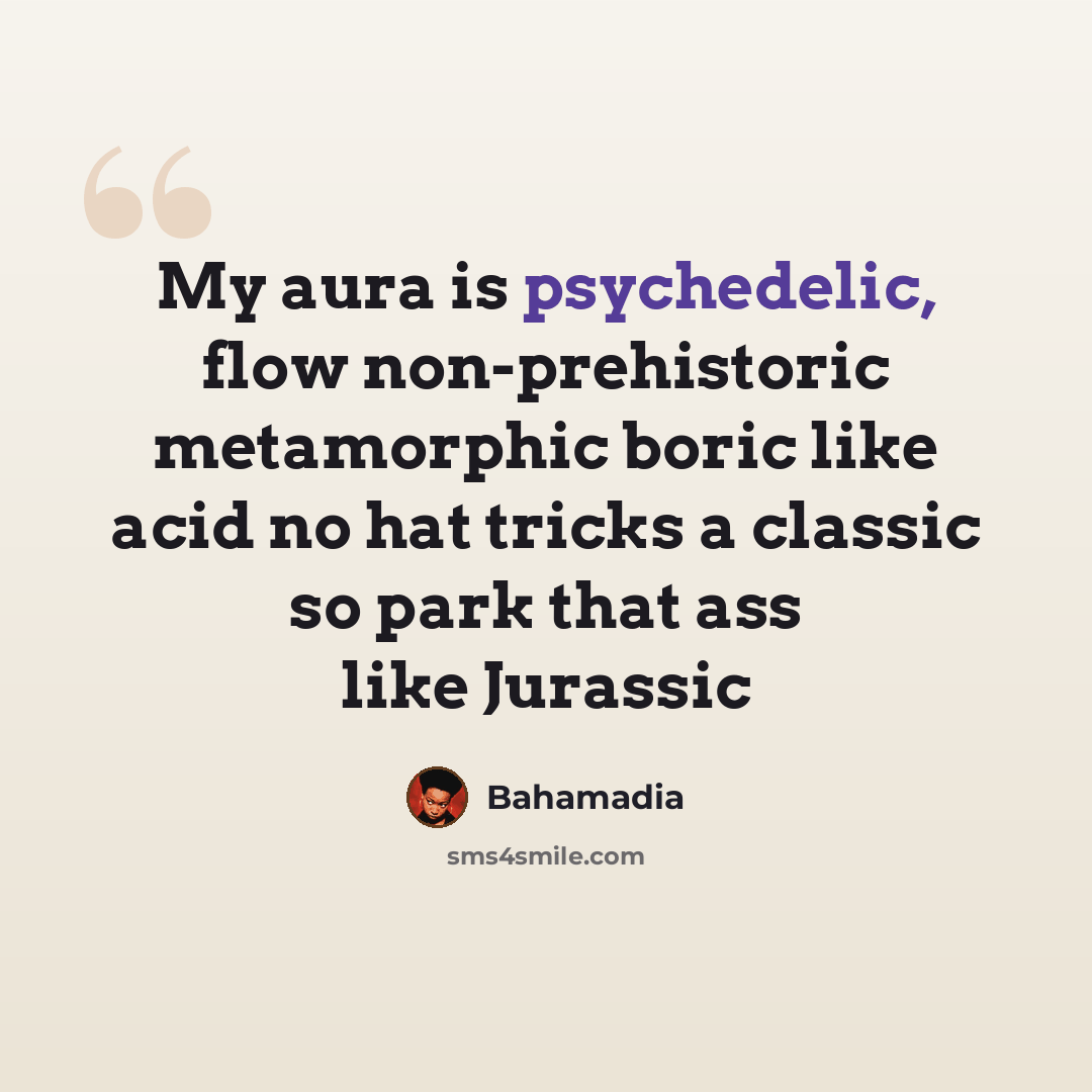 “My aura is psychedelic, flow non-prehistoric metamorphic boric like acid no hat tricks a classic so park that ass like Jurassic” quote by Bahamadia