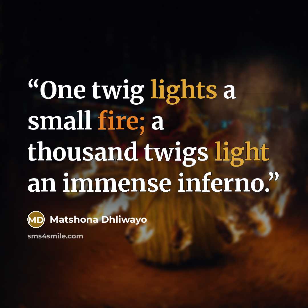 “One twig lights a small fire; a thousand twigs light an immense inferno.” quote by Matshona Dhliwayo