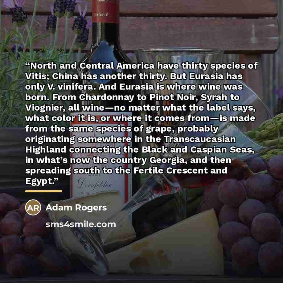 “North and Central America have thirty species of Vitis; China has another thirty. But Eurasia has only V. vinifera. And Eurasia is where wine was born. From Chardonnay to Pinot Noir, Syrah to Viognier, all wine—no matter what the label says, what color it is, or where it comes from—is made from…” quote by Adam Rogers