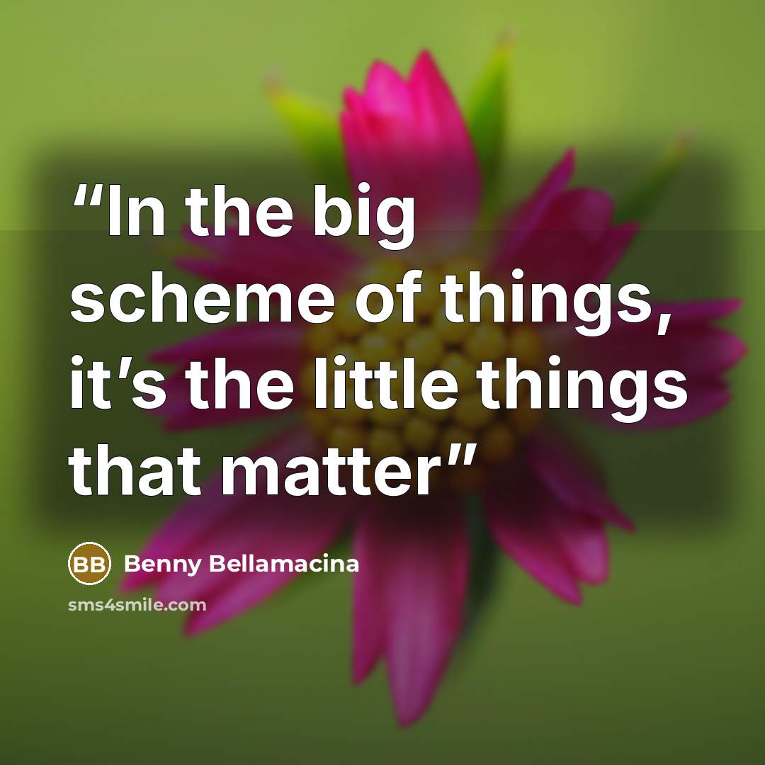 “In the big scheme of things, it’s the little things that matter” quote by Benny Bellamacina