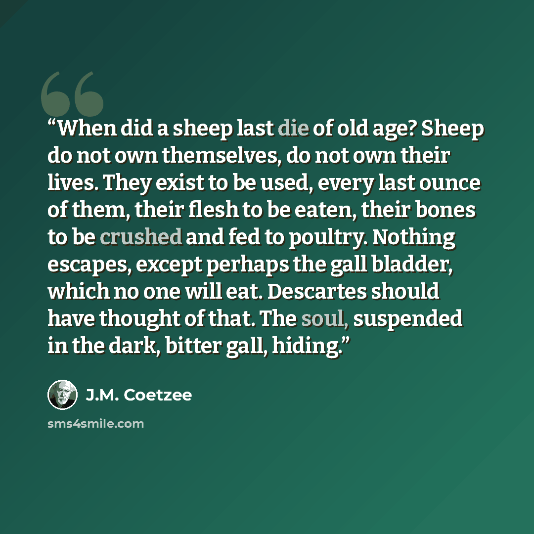 “When did a sheep last die of old age? Sheep do not own themselves, do not own their lives. They exist to be used, every last ounce of them, their flesh to be eaten, their bones to be crushed and fed to poultry. Nothing escapes, except perhaps the gall bladder, which no one will eat. Descartes…” quote by J.M. Coetzee