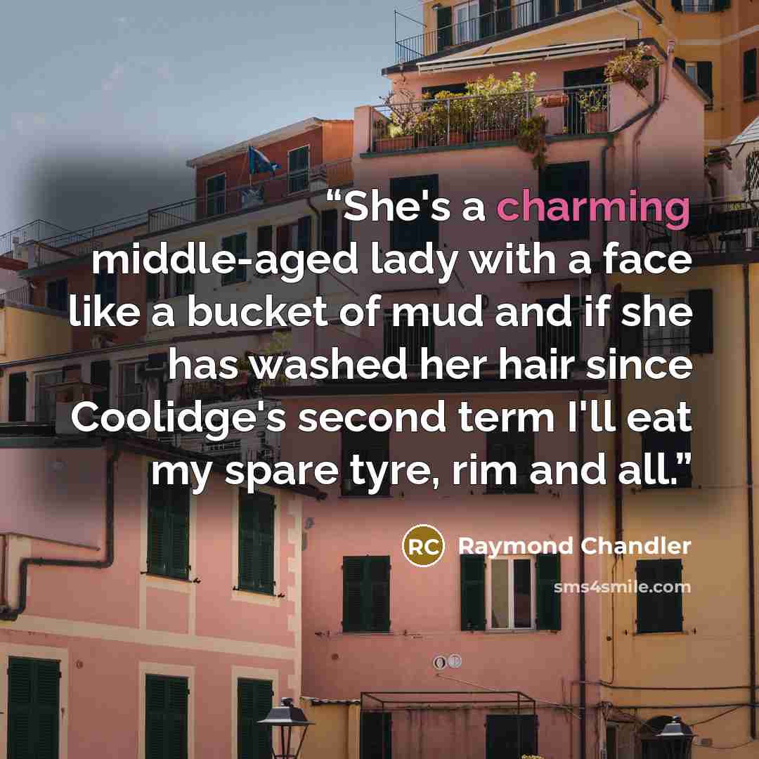 “She's a charming middle-aged lady with a face like a bucket of mud and if she has washed her hair since Coolidge's second term I'll eat my spare tyre, rim and all.” quote by Raymond Chandler